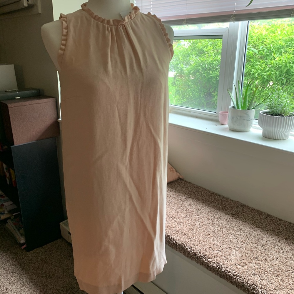 Blush colored sheath dress